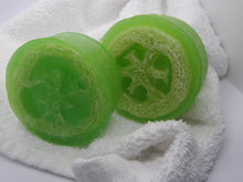 Load image into Gallery viewer, Green Citrus Luffa