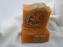 Load image into Gallery viewer, Orange Luffa Bar
